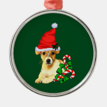ジャック・ラッセル・テリアクリスマス