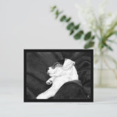 ジャック・ラッセル・テリアー・アップ・ポストカード – "Bliss" ポストカード (スタンド正面)