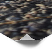 ジャック・ラッセル・テリアー・ドッグ・オッペンハイム ポスター (角)