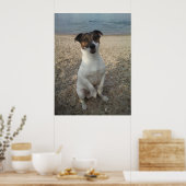 ジャック・ラッセル・テリアー・ドッグ・オッペンハイム ポスター (キッチン)