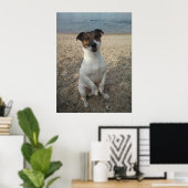 ジャック・ラッセル・テリアー・ドッグ・オッペンハイム ポスター (ホームオフィス)