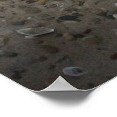 ジャック・ラッセル・テリアー・ドッグ・オッペンハイム ポスター (角)