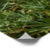 ジャック・ラッセル・テリアー・ドッグ・オッペンハイム ポスター (角)