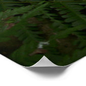 ジャック・ラッセル・テリアー・ドッグ・オッペンハイム ポスター (角)