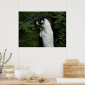 ジャック・ラッセル・テリアー・ドッグ・オッペンハイム ポスター (キッチン)