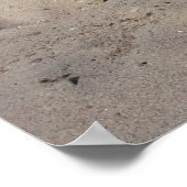 ジャック・ラッセル・テリアー・ドッグ・オッペンハイム ポスター (角)