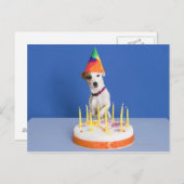 ジャック・ラッセル・テリア犬がパーティー帽子をかぶって ポストカード (正面/裏面)