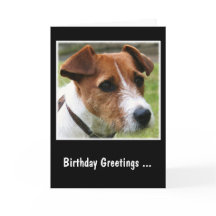 ジャック·ラッセル·テリア