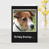 ジャック·ラッセル·テリア カード (黄色い花)