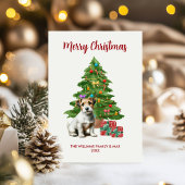 ジャック・ラッセル・テリア クリスマスカード