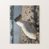 ジャック・ラッセル・テリア・ドッグ・カポ・フォン・オッペンハイム ジグソーパズル (縦)