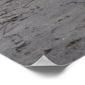 ジャック・ラッセル・テリア・ドッグ・カポ・フォン・オッペンハイム ポスター (角)