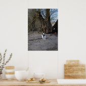 ジャック・ラッセル・テリア・ドッグ・カポ・フォン・オッペンハイム ポスター (キッチン)