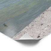 ジャック・ラッセル・テリア・ドッグ・カポ・フォン・オッペンハイム ポスター (コーナー)