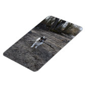 ジャック・ラッセル・テリア・ドッグ・カポ・フォン・オッペンハイム マグネット (左側)