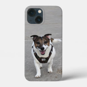ジャック・ラッセル・テリア・ドッグ・カポ・フォン・オッペンハイム iPhone 13 MINIケース