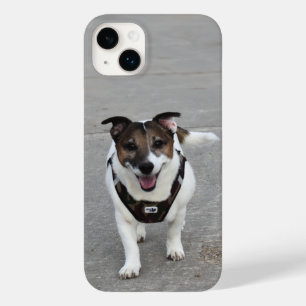 ジャック・ラッセル・テリア・ドッグ・カポ・フォン・オッペンハイム Case-Mate iPhone 14 PLUSケース