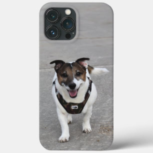 ジャック・ラッセル・テリア・ドッグ・カポ・フォン・オッペンハイム iPhone 13 PRO MAXケース