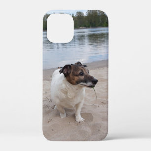 ジャック・ラッセル・テリア・ドッグ・カポ・フォン・オッペンハイム iPhone 12 MINI ケース