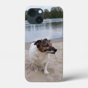 ジャック・ラッセル・テリア・ドッグ・カポ・フォン・オッペンハイム iPhone 13 MINIケース