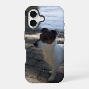 ジャック・ラッセル・テリア・ドッグ・カポ・フォン・オッペンハイム iPhone 16ケース