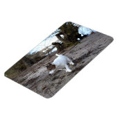 ジャック・ラッセル・テリア・ドッグ・マグネ・カポ・フォン・オッペンハイム マグネット (左側)