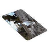 ジャック・ラッセル・テリア・ドッグ・マグネ・カポ・フォン・オッペンハイム マグネット (右側)