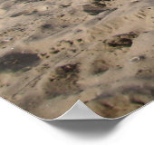 ジャック・ラッセル・ドッグ・カポ・フォン・オッペンハイム ポスター (角)