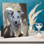 ジャック・ラッセル・パピーのかわいい白黒 フォトプラーク (側面)