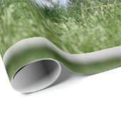 ジャック ラッピングペーパー (ロールコーナー)