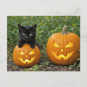 ジャック・O・ランタンハロウィンの黒猫ネコ シーズンポストカード