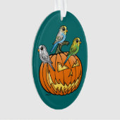 ジャックO'Budgies オーナメント (正面)