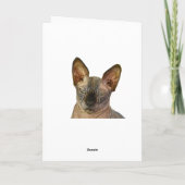 ジャッジメント スフィンクス 猫 誕生日おめでとう サンキューカード (裏面)