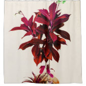 ジャトロファ深い赤 シャワーカーテン (正面)