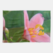 ジャトロファ花クローズアップ キッチンタオル (横)