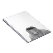 ジャナスミーム、プロボシス・モンキー、ポラック、ポール・ジャヌス ノートブック (右側)