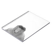 ジャナスミーム、プロボシス・モンキー、ポラック、ポール・ジャヌス ノートブック (左側)