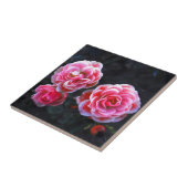 ジャナルローゼン タイル (側面)