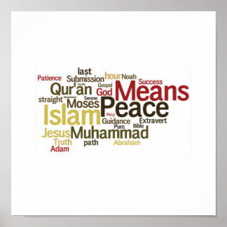 ジャナーポスター2 ポスター