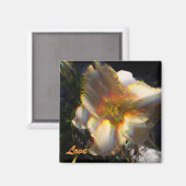 ジャニスのリリー、恋 マグネット (正面/裏面)