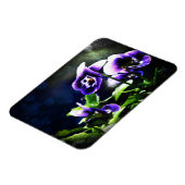 ジャニージャンプアップとスター（紫） マグネット (左側)