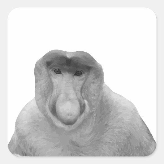 ジャヌスポリクナクレフカ スクエアシール (正面)