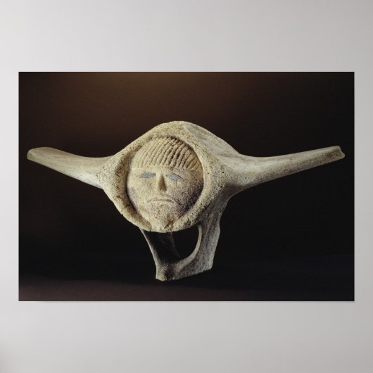 ジャヌス岬、ドセット岬 ポスター (正面)