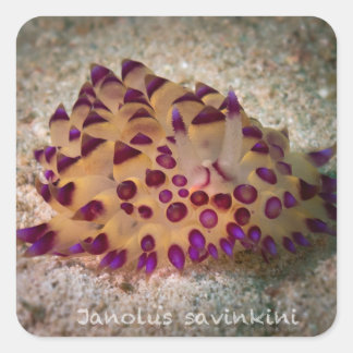 ジャノラスサビンキニのシール スクエアシール