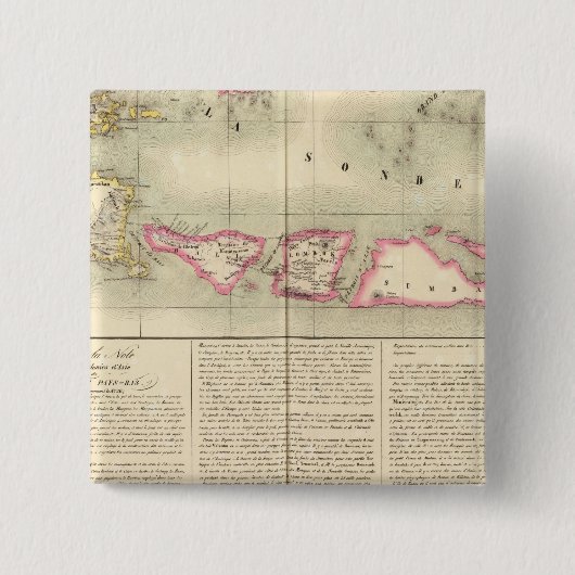 ジャバオセアニアno 27 缶バッジ (正面)