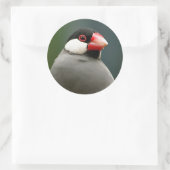 ジャバフィンチ ラウンドシール (バッグ)