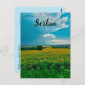 ジャバリセルビアのひまわり ポストカード (正面/裏面)