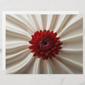 ジャパナースカラー付きレターヘッドデザイン (正面/裏面)