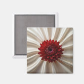 ジャパナーゼカラー付きマグネットデザイン マグネット (正面/裏面)