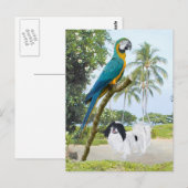 ジャパニーズチンチンとコンゴウインコ ポストカード (正面/裏面)